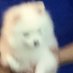 SpeedoX (@bon_mont) Twitter profile photo SpeedoX (@bon_mont) Twitter profile photo