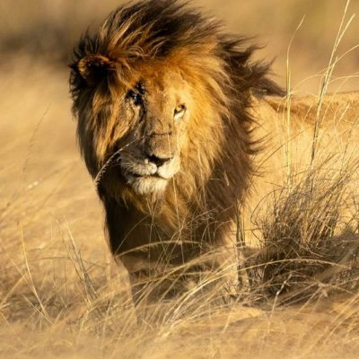 starloop1685921's profile picture. 