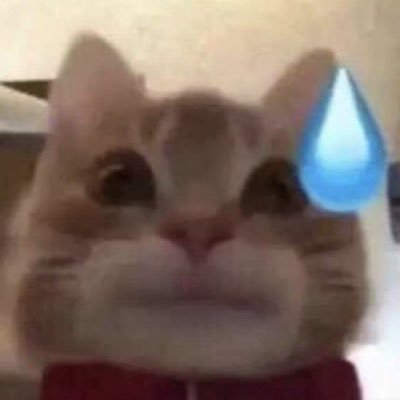 _blanksout_'s profile picture. 