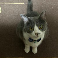 雪之丞@取引垢 (@ykym_27) Twitter profile photo