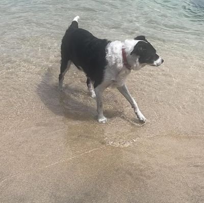 NeilDavidG47560's profile picture. 