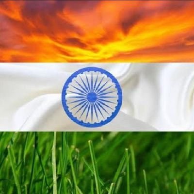 pinkugoala356's profile picture. 