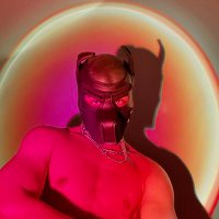 ⭐️ (@_shadowpuppet__) 's Twitter Profile