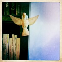 Dr Vaguechera (@vaguechera) 's Twitter Profile