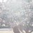 status_____i's profile image