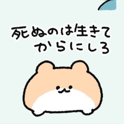 伊織さんのプロフィール画像