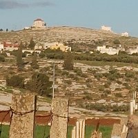 Shehab Al-Makahleh شهاب المكاحله (@shehabmakahleh) 's Twitter Profile