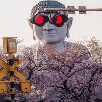 bræd (@brad_theory) 's Twitter Profile