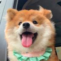 北北北北 (@274888h) 's Twitter Profile