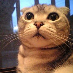 ONI10942278's profile picture. #サウナ・スパ健康アドバイザー/ #サウナ・スパプロフェッショナル/#温泉ソムリエ協会認定温泉ソムリエ/#熱波師検定B/温浴施設現在99箇所訪問/釣りバカ日誌/三國蓮太郎さん/西田敏行さん/インテリスタ/メッセンジャーあいはらさん/oasis/weezer/峯田和伸さん/水曜どうでしょう/阪元裕吾監督/珈琲/ラジオ