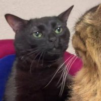 Ayudaaaaaaaaaaaaaaaaaaaaaaa (@cgz26) 's Twitter Profile Photo