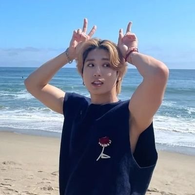 19. she/her. multistan. hobi & han & lino ult 🫠
mostly yaps about skz // also stans bts • txt • atz • en-
// a baby swith + villain + carat💃🏽