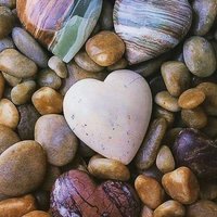 فحل جاد صنعاء (@774680267aaa) Twitter profile photo