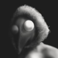 ratskewer (@ratskeweryt) 's Twitter Profile
