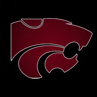 Ladycat Basketball (@whstx_lcatbball) 's Twitter Profile