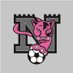 Newcastle Panthers FC (@NewcPanthers) Twitter profile photo