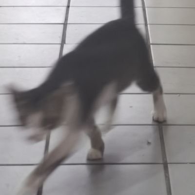 oojyabaku's profile picture. 