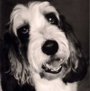 Artgal987's profile picture. Smallest hands. Biggest laugh.