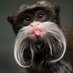 Caton l'Aubergiste (@catonlaubergist) Twitter profile photo