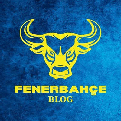 Bu profil sadece Fenerbahçe içerir.