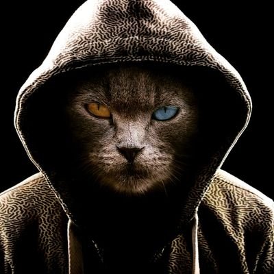 silverstone402's profile picture. 💰Security
💻Bug_Hunter
🌍Web_Pentester