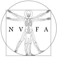 NVFA (@nvfant) 's Twitter Profile