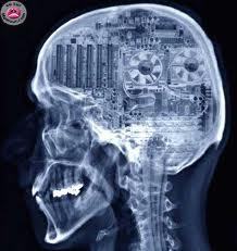 linou64200's profile picture. 