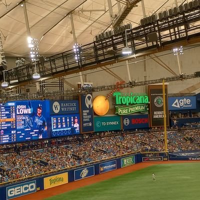 EdwardMaiorana's profile picture. 