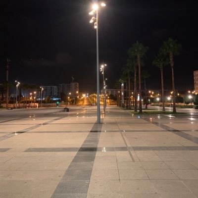 Majeed___14's profile picture. 