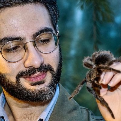 Arachno_AZ Profile Picture
