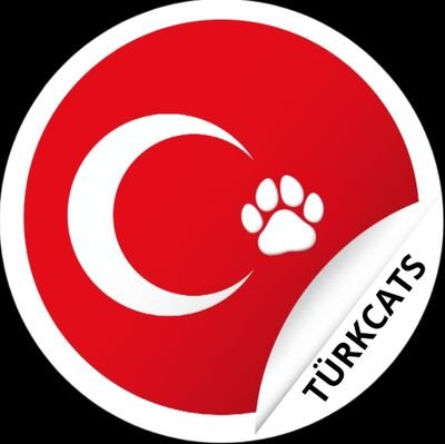 Türkcats