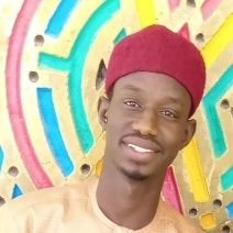 Ahmad jaji born and grew up in ngelzarma village area of fune local government Yobe state