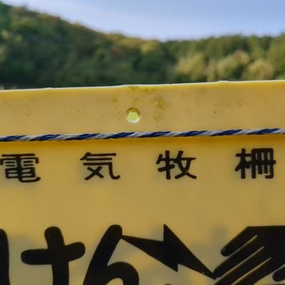 ys45_nanameue's profile picture. 未成年の方は近づかないでください。
金欲はなかなか叶いませんので、リアルは食欲と性欲でメンタルを維持してます。
変態な方と繋がれたらと思います。
姿は知りませんが言葉は知れるってことで、よろしくお願いします。