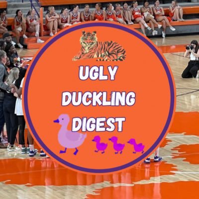 UglyDucklingsCU Profile Picture