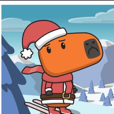 0xakbp's profile picture. 🌊