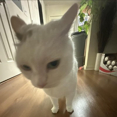 Bonna8's profile picture. on my way to lose money