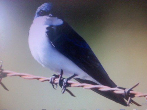 rkinkor's profile picture. 