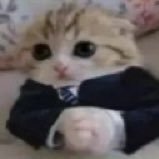 Lucythe108's profile picture. 