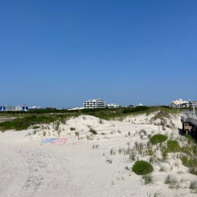 74Shamrock's profile picture. 