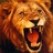 alex_lionn's profile image
