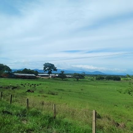 Amo mi llanura 😍 me encantan los deportes Fútbol, tenis, básquet, béisbol.. y mi patria Venezuela 🇻🇪