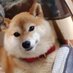 Ino (@1885yo) Twitter profile photo Ino (@1885yo) Twitter profile photo