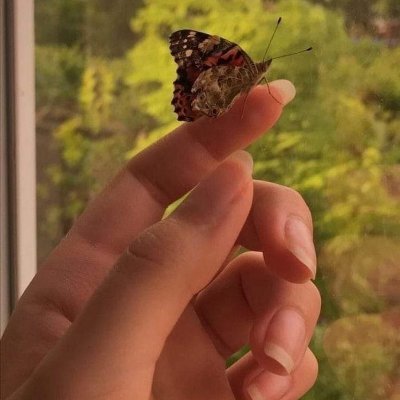 بّـــــــرقــــــه فــــــرآشـــــــه 🦋🤎. 