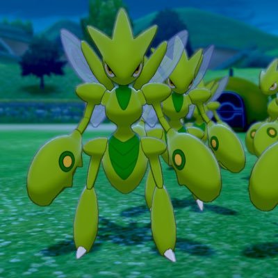 insect310さんのプロフィール画像