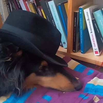 CesarP626's profile picture. 