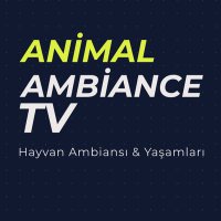 Animal Ambiance TV(@animalambiance) 's Twitter Profile Photo