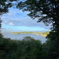 やえ (@green_3310) 's Twitter Profile Photo