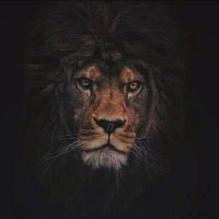 DA_1_&_ONLY (@lamontrob2) 's Twitter Profile