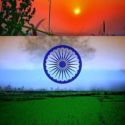 dm_mlm's profile picture. 