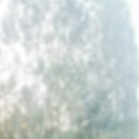 sellman🌹Deren 🔥 (@derenkotha40562) 's Twitter Profile Photo